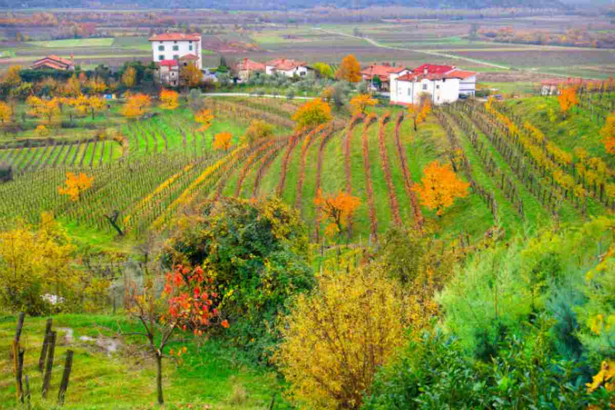 Cambiare vita e vivere in montagna