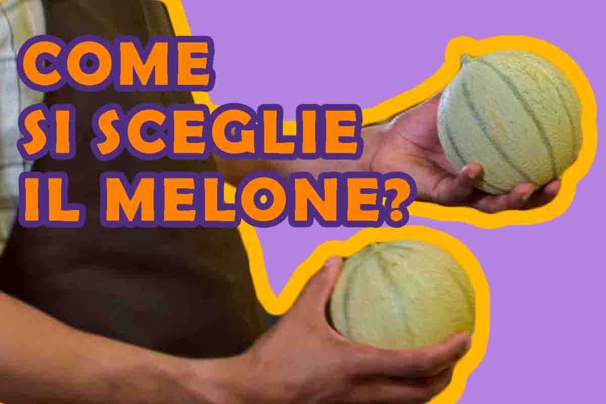 come scegliere melone