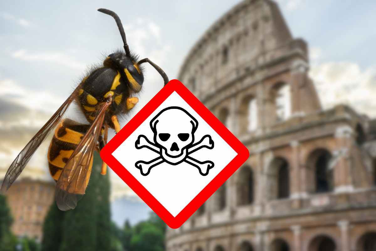 insetti veleno neurotossico roma