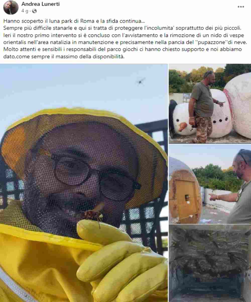 Allerta insetti a Roma