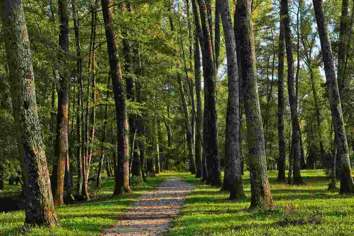 città natura e fiabe: dove in Italia