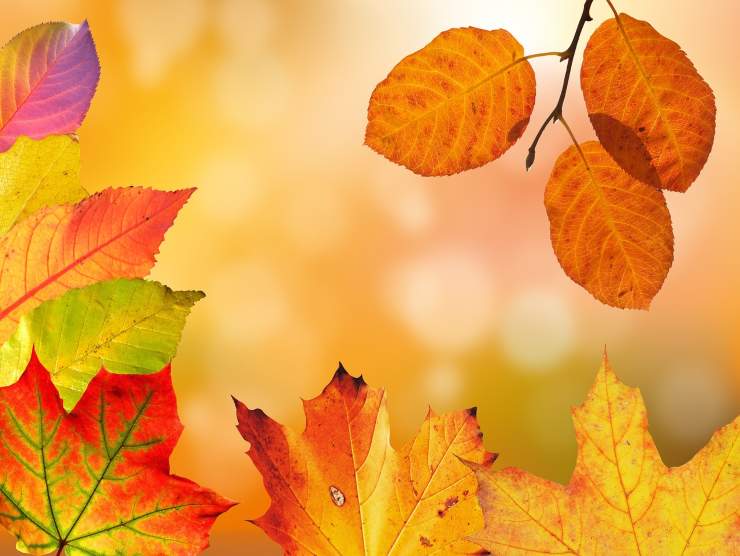 ecco quando potrebbe arrivare davvero l'autunno