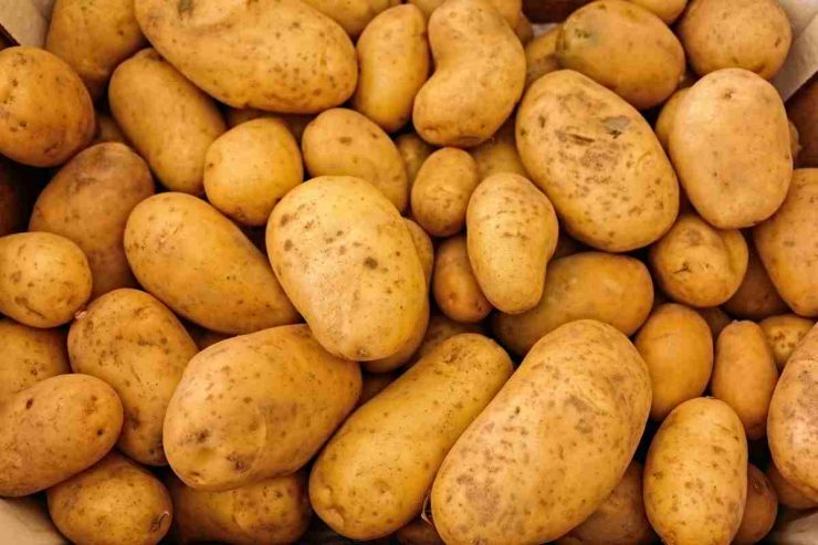 patate quando possiamo mangiarle dopo la scadenza