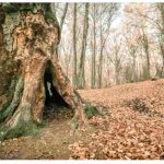 Il foliage nel Lazio