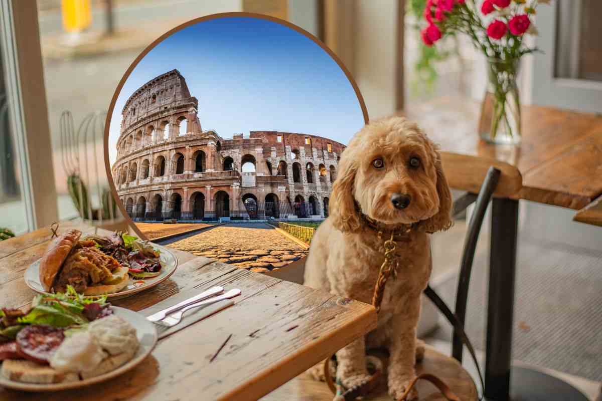Ristorante per cani Roma