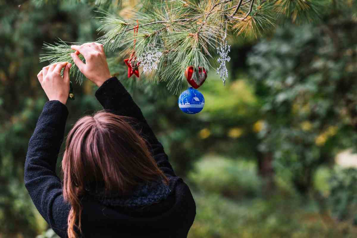 Dimmi che albero di natale ti piace e ti dirò chi sei