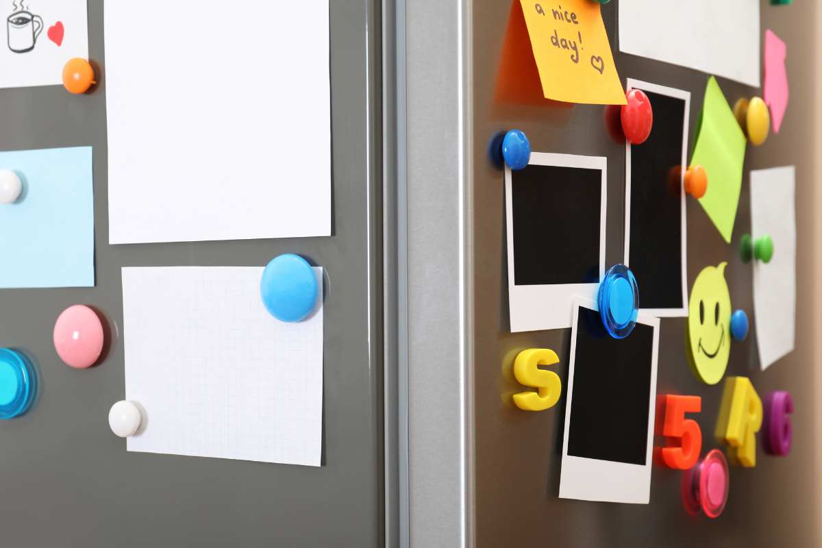 Because scientists insist that we should not attach magnets to the refrigerator