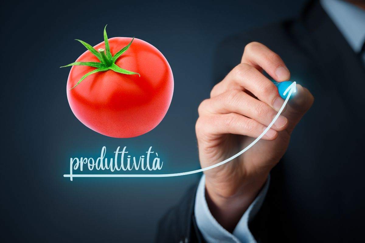 tecnica del pomodoro come funziona