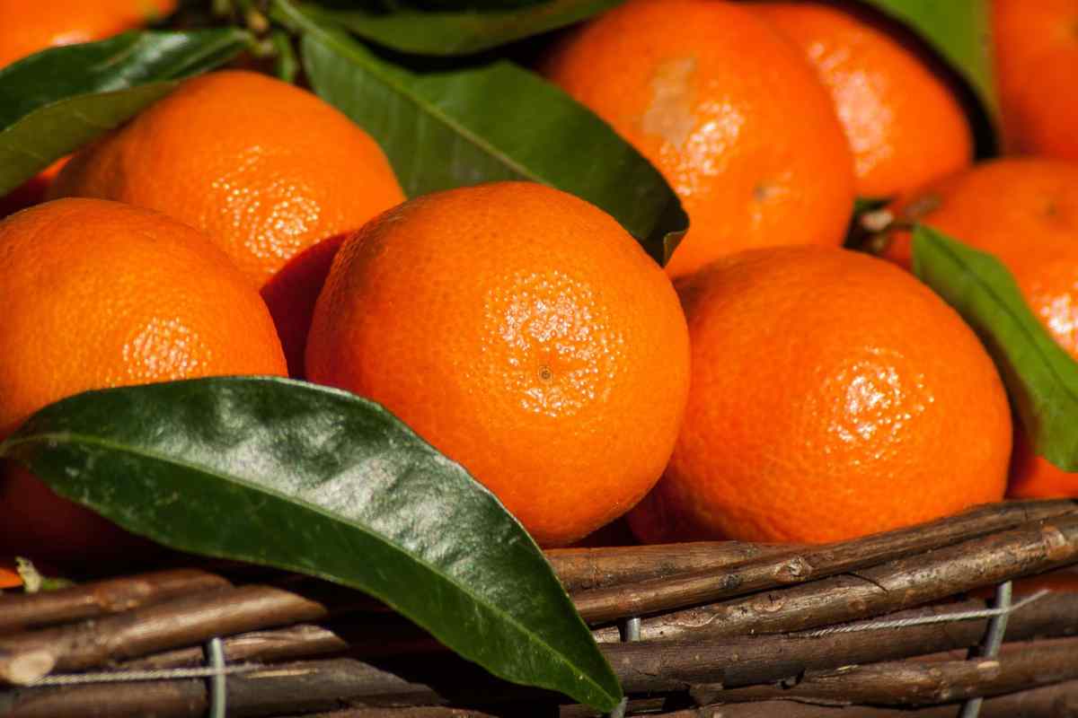 problemi nella raccolta di mandarini