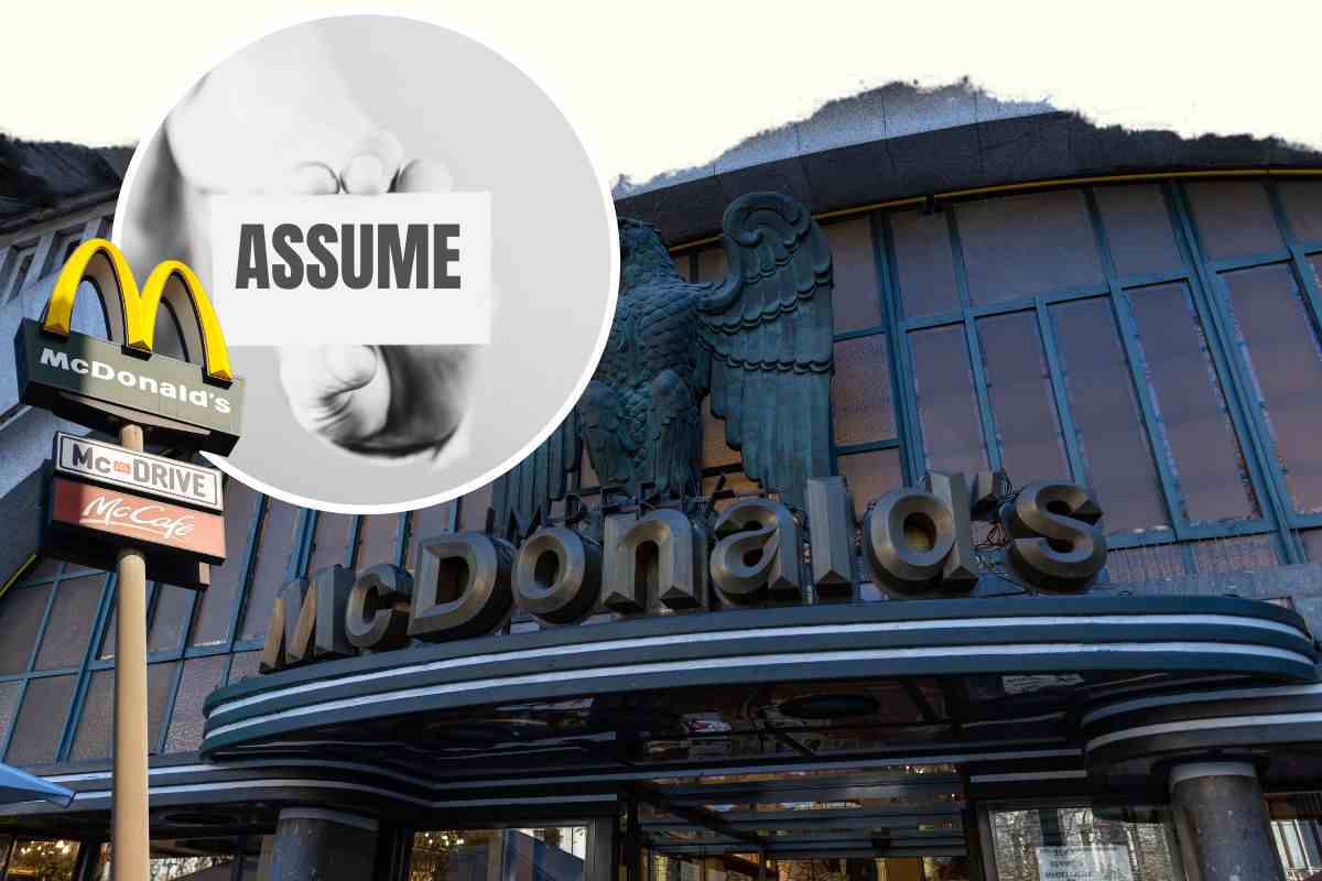 mcdonald's cerca personale