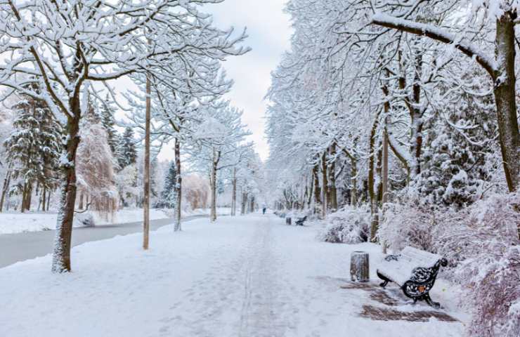 quando arriva la neve a roma