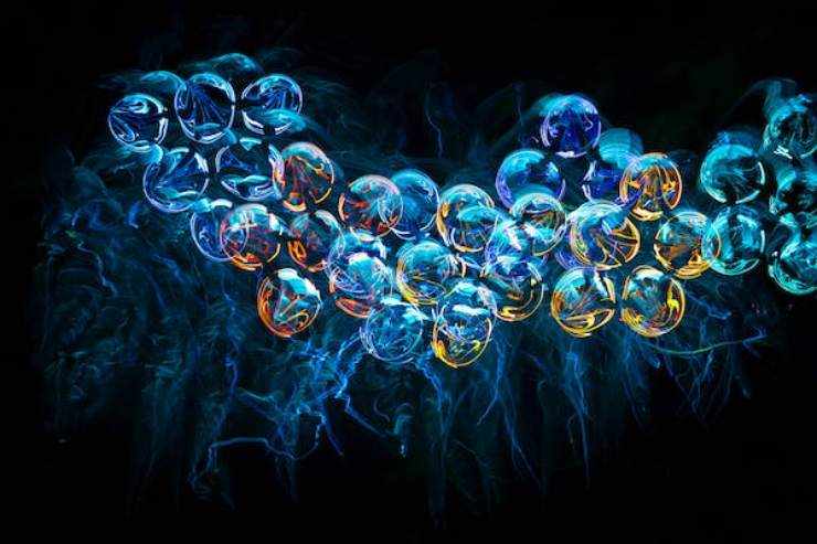 Com'è vivere lo spettacolo delle baby meduse