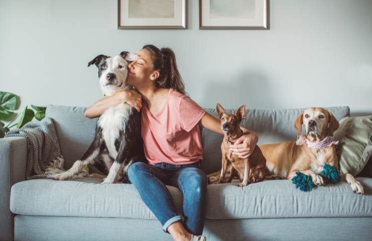 raddoppia il bonus per gli animali domestici